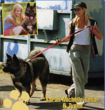 Buffy · Darsteller